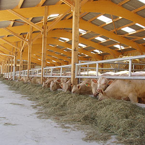 Hangar agricole, Bâtiment de stockage - Bois lamellé-collé